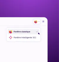 French Smart Window There When You Need It