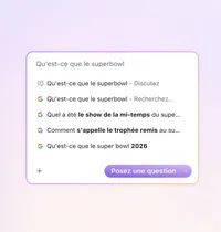 French Smart Window use chat or search