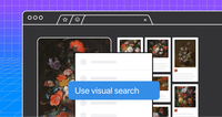 Use Visual Search UI