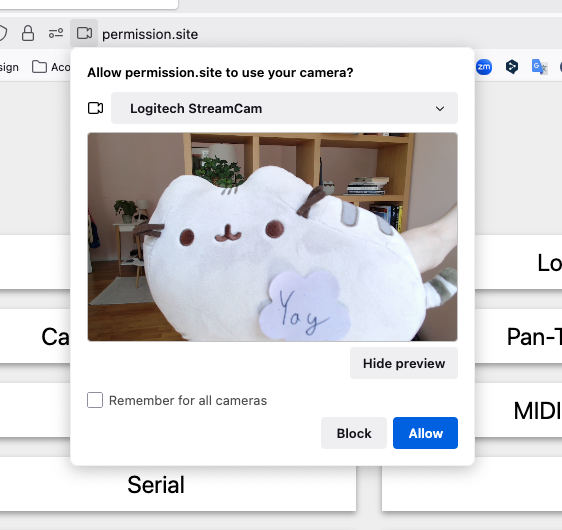 Screenshot showing camera preview inside permission dialog